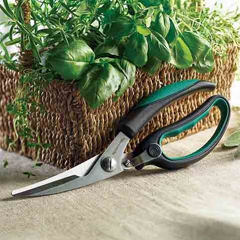 Ножницы кулинарные Big Green Egg