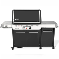 Weber Summit Smart FS38X E