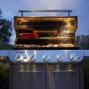 Газовый гриль Weber Summit FS38 S