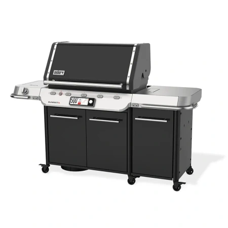 Weber Summit Smart FS38X E