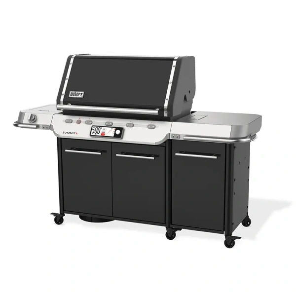 Weber Summit Smart FS38X E