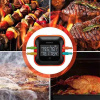 Цифровой термометр BlueTooth InkBird IBT-24S