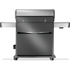 Rogue PRO-S 625 (стальной)
