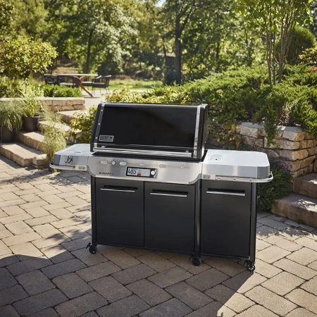 Weber Summit Smart FS38X E