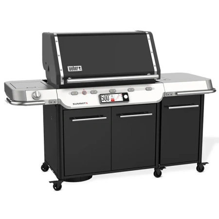 Weber Summit Smart FS38X E