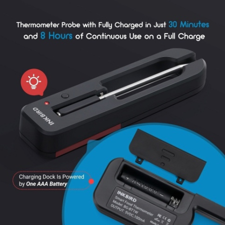 Цифровой термометр BlueTooth InkBird BG-BT1W
